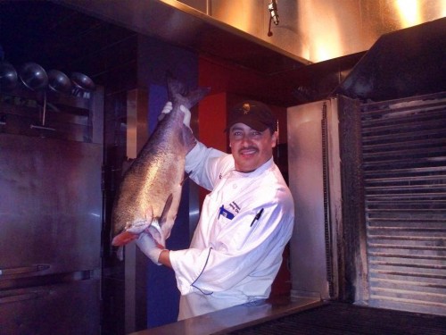 Where to Get Copper River Salmon in Tacoma and Olympia