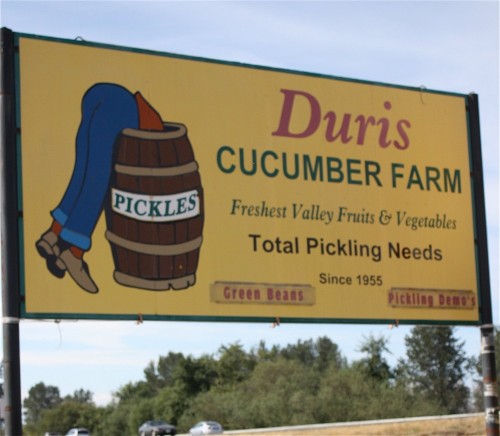 Pickle with Duris Farm